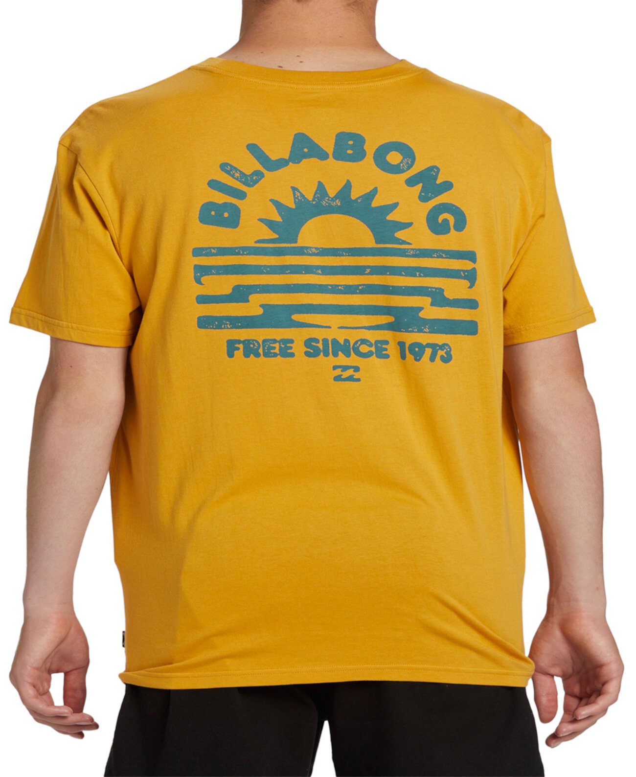 Мужская Футболка Billabong Logo Graphic Billabong