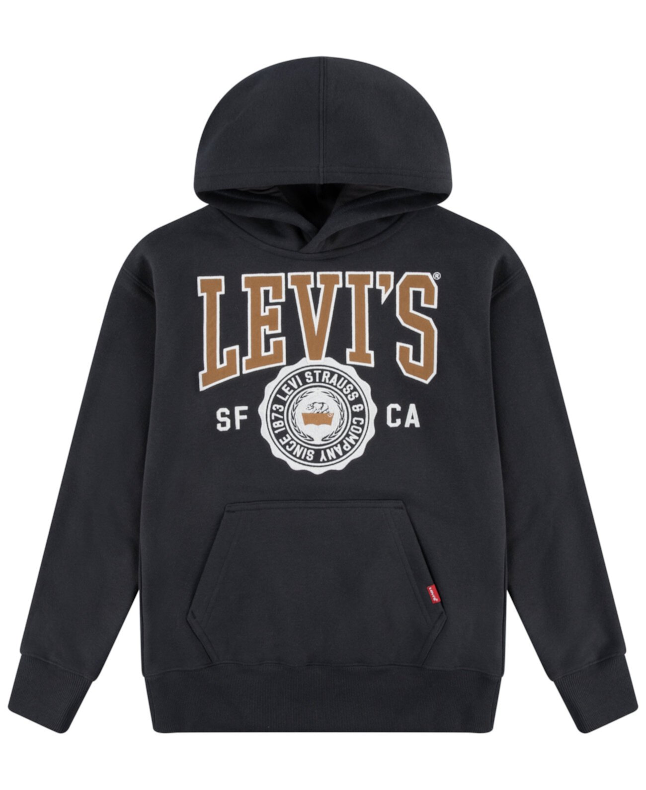 Toddler and Little Boys Sporty Pullover Hoodie Levi's®