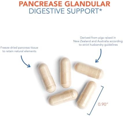 Allergy Research Group Pancreas Pork Supplement - Pancreas Natural Glandular, 425mg Pancreatic Enzymes, Digestive Enzymes Amylase, Protease - 60 Count Allergy Research Group