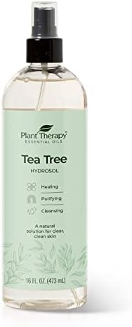 Plant Therapy Tea Tree (Melaleuca) Hydrosol 16 oz by-Product of Essential Oils Plant Therapy