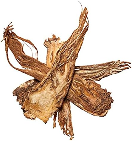 Plum Dragon Herbs Angelica Root | Dang GUI Sliced Whole Root Chinese Herb| Dong Quai | Chinese Angelica | Angelica Sinensis - Bulk Chinese Herb (1 Oz) Plum Dragon Herbs