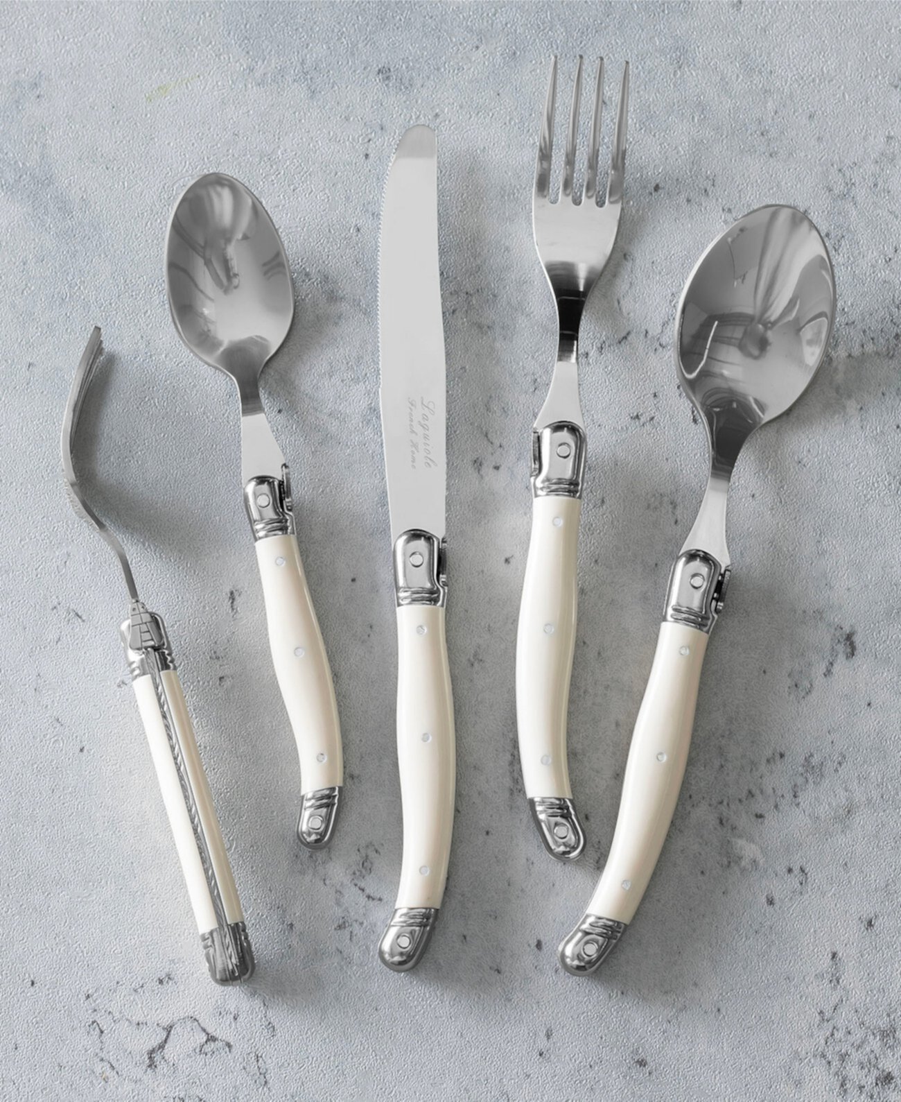 Laguiole Connoisseur 20-Piece Flatware Set with Handles French Home