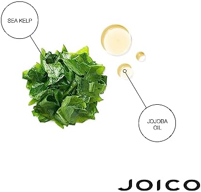 Joico Moisture Recovery Treatment Balm | For Thick, Coarse, Dry Hair | Replenish Moisture | Restore Smoothness & Elasticity | Strengthen Hair | Reduce Breakage & Frizz | With Jojoba Oil & Shea Butter Joico