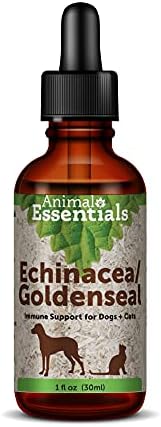 Animal Essentials Echinacea Goldenseal - Herbal Formula for Dogs and Cats, Immune Support, 100% Organic Herbs, Veterinarian Recommended - 1 Fl Oz Animal Essentials