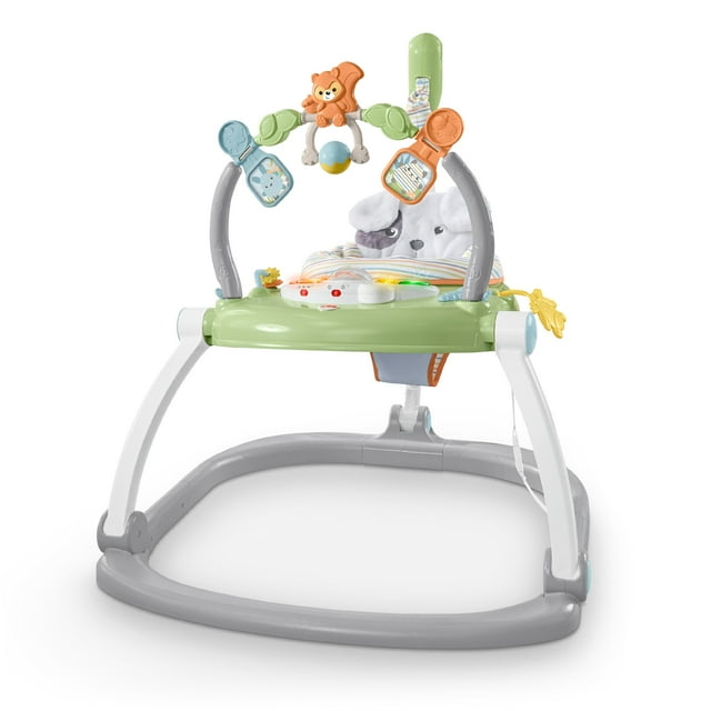 Fisher-Price Space Saver Jumperoo Baby Activity Center With Lights & Sounds, Sweet Snugapuppy Visit the Fisher-Price Store