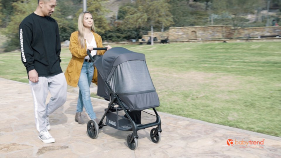 Baby Trend Passport Carriage Stroller-Silver Sky-Silver Visit the Baby Trend Store