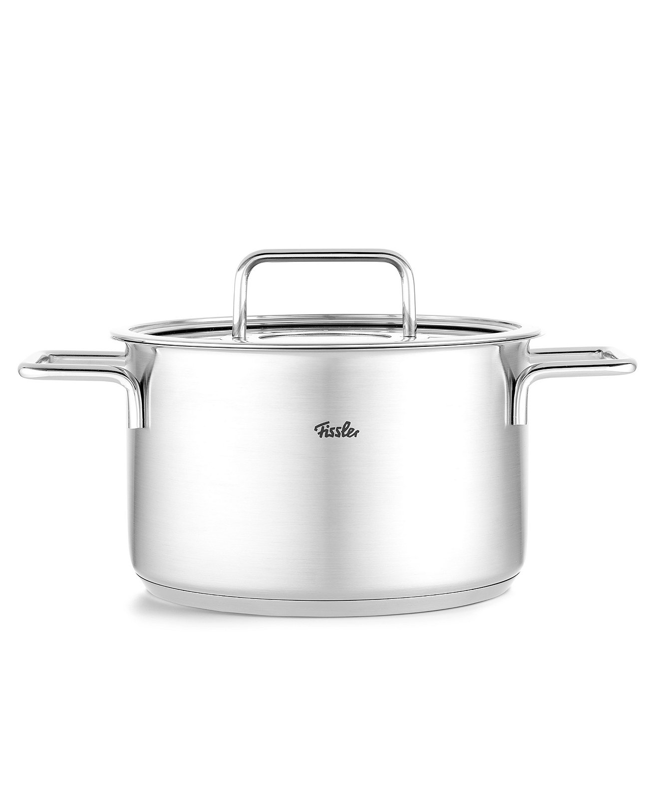 Pure Collection Stainless Steel 4.2 Quart Stock Pot with Glass Lid Fissler