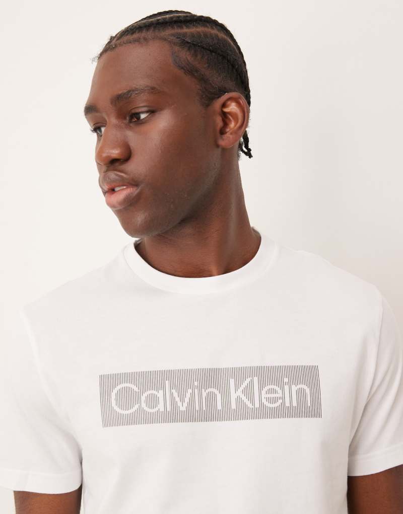 Мужская Футболка Calvin Klein Box Striped Logo в белом цвете Calvin Klein