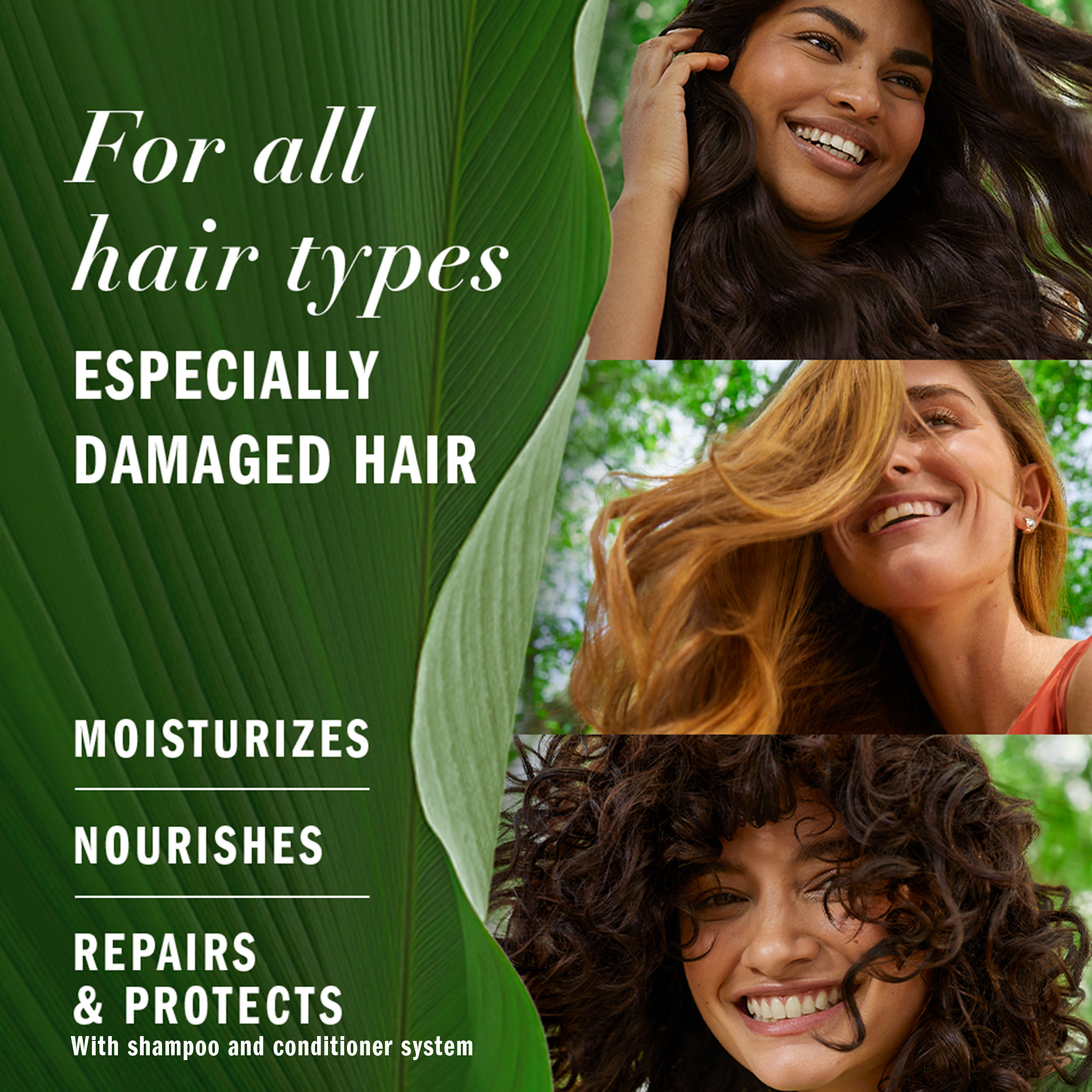 Herbal Essences Avocado Oil Sulfate Free Shampoo, Repair, for All Hair Types, 13.5 fl oz Herbal Essences