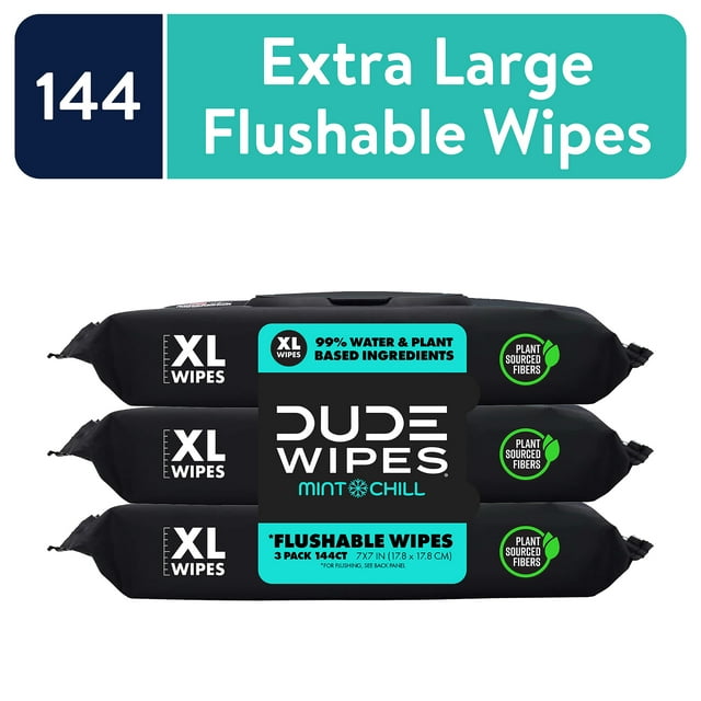 Dude Wipes Extra Large Mint Chill Flushable Wipes 3 - 48 Wipe Packs DUDE