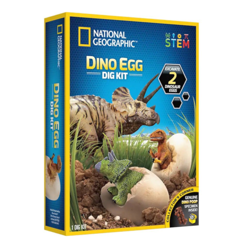 National Geographic Dino Egg Dig Kit for Children 8 Years and up National Geographic