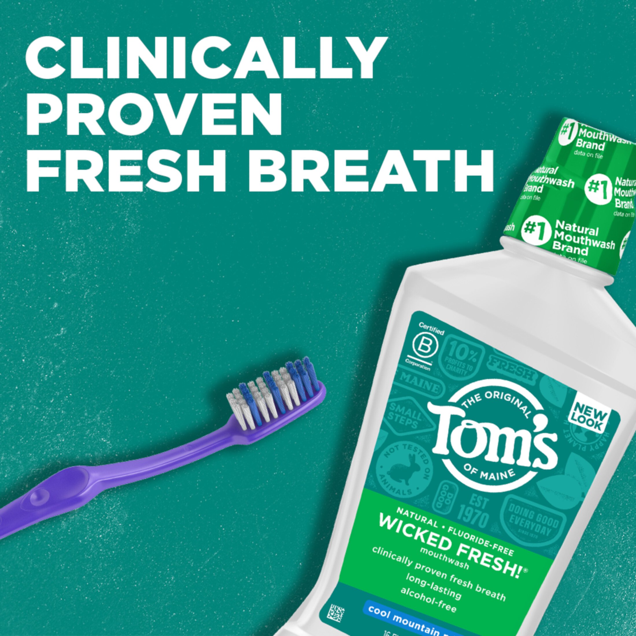 Tom's of Maine Long Lasting Wicked Fresh Mouthwash, Cool Mountain Mint - 16 oz - 2 pk Tom's of Maine