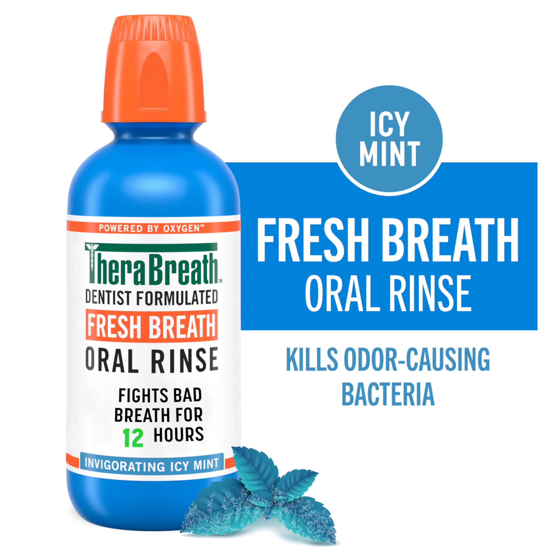 TheraBreath Fresh Breath Alcohol-Free Mouthwash, Mouth Rinse for Adults, Icy Mint, 16 fl oz TheraBreath