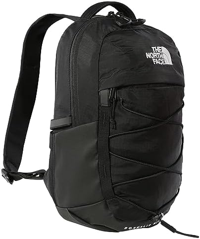 THE NORTH FACE 10L Mini Borealis Everyday Backpack, Algae Blue/Midnight Petrol, One Size The North Face