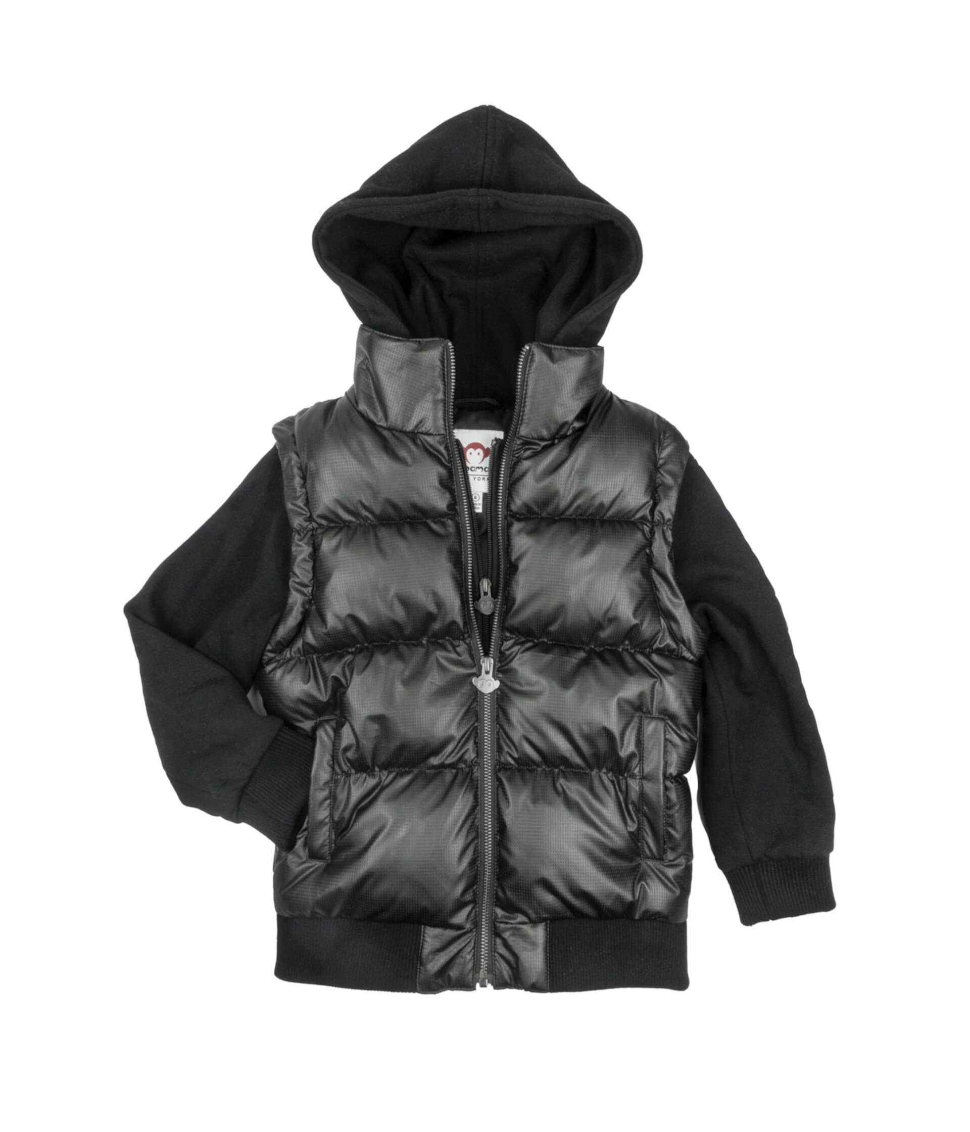 Turnstile Jacket (Toddler/Little Kids) Appaman