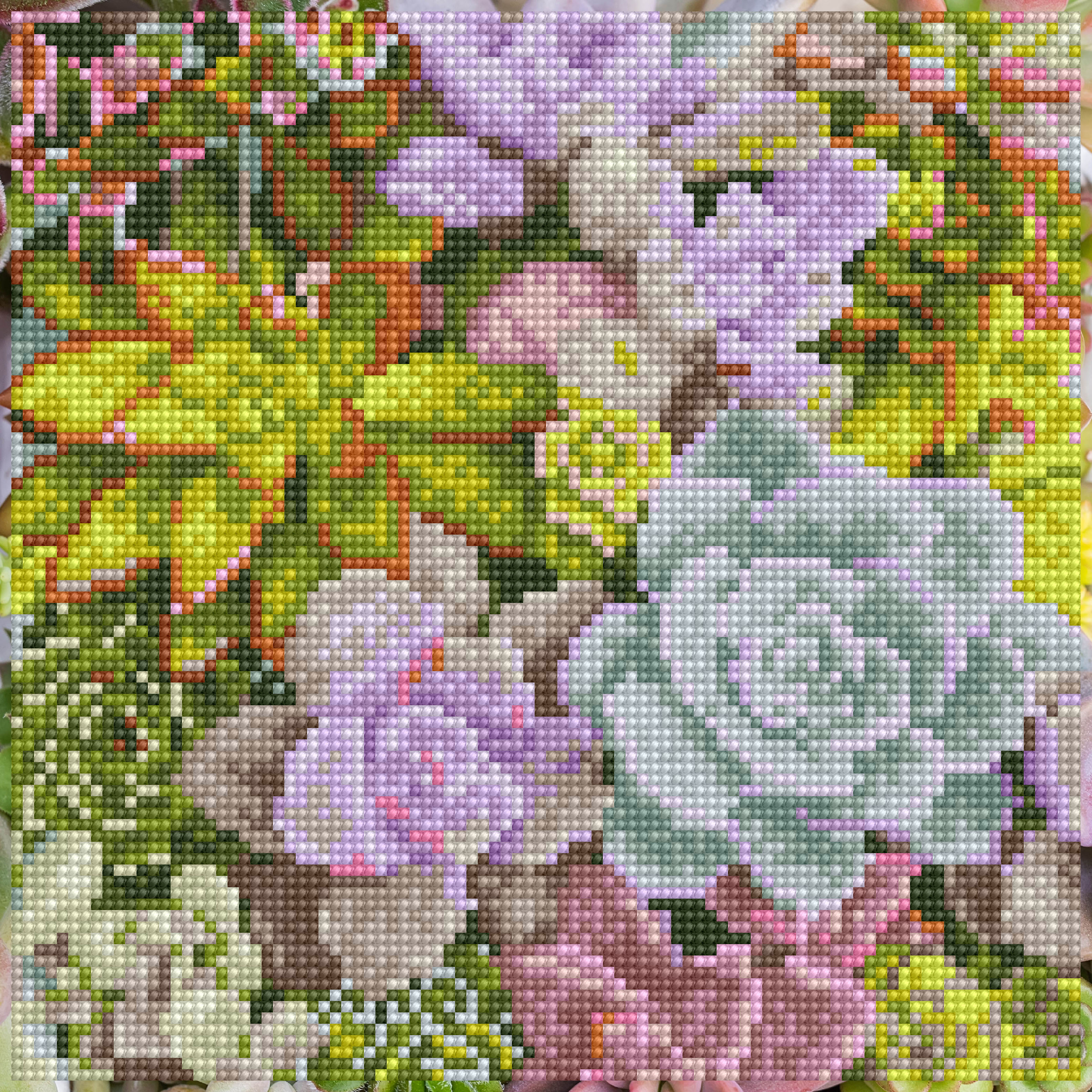 DIAMOND DOTZ® Succulents in Bloom Special Edition Diamond Painting Kit DIAMOND DOTZ