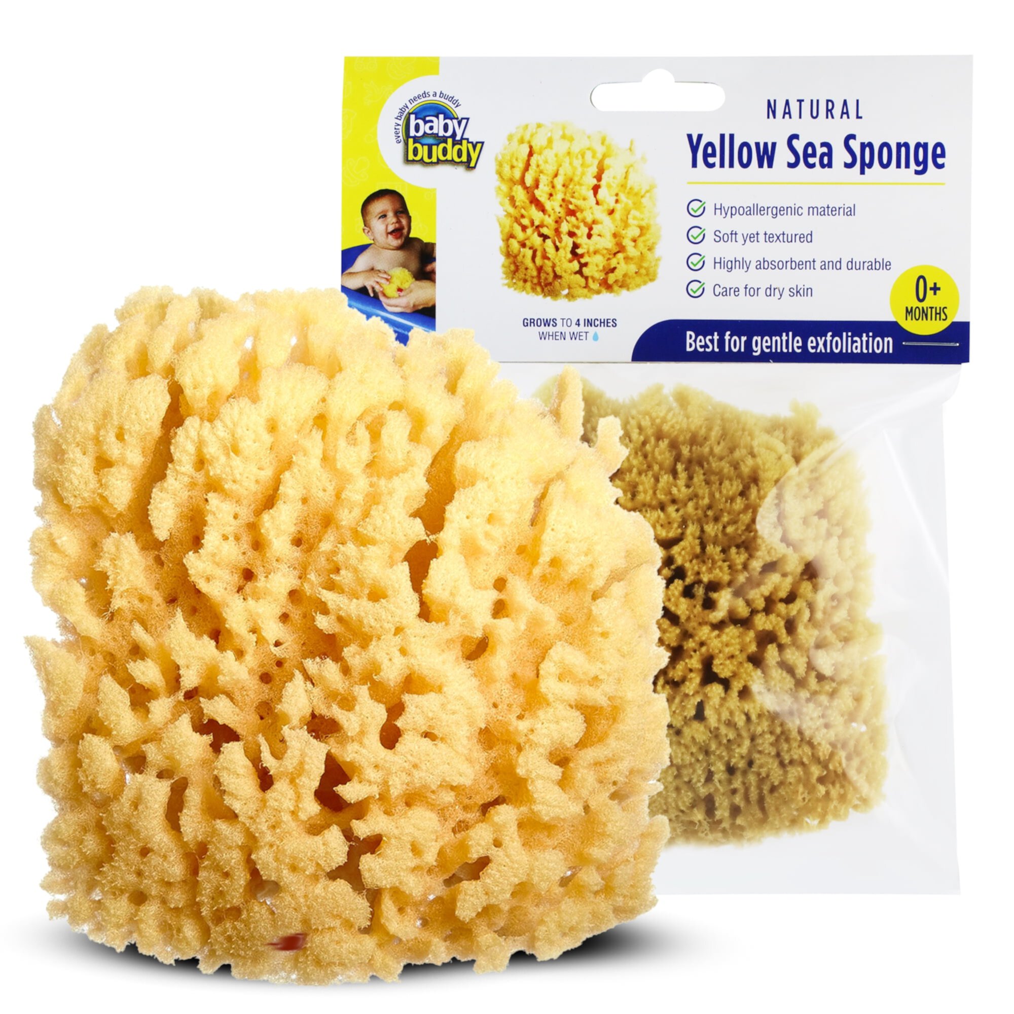 Baby Buddy Natural Baby Bath Sponge 4in for Newborn, Soft Yellow Sea Sponge, Biodegradable, 1pk Baby Buddy