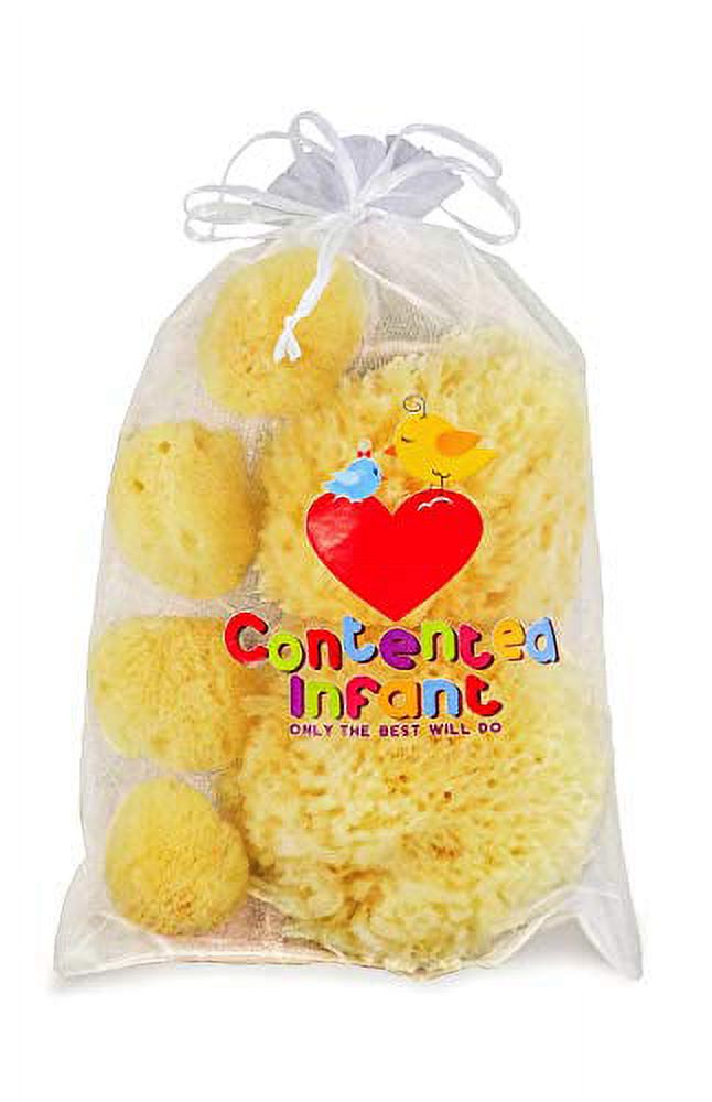 Real Sea Sponges for Babies - 6 Pk Bath Care Set, Gentle, Kind on Skin, for Bathing Washing Body Eyes, Ears Nose, Also for Newborn Toddler Kids; Baby Shower Spa Gift by Contented Infant Contented Infant