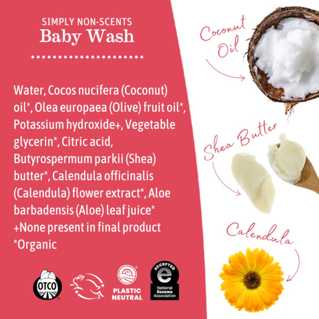 Earth Mama Organics Simply Non-Scents Baby Wash for Sensitive Skin, Newborn & Child, 34 fl oz. (1L) Earth Mama