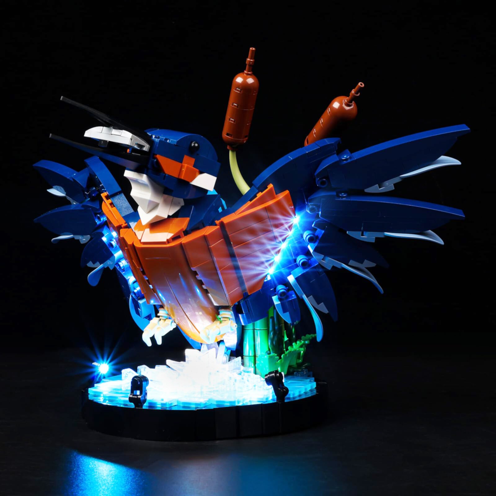 Kyglaring Led Light Kit for Lego Icons Kingfisher Bird 10331 Light Kit to Upgrade Building Model Set - No Model(Classic Version) KYGLARING