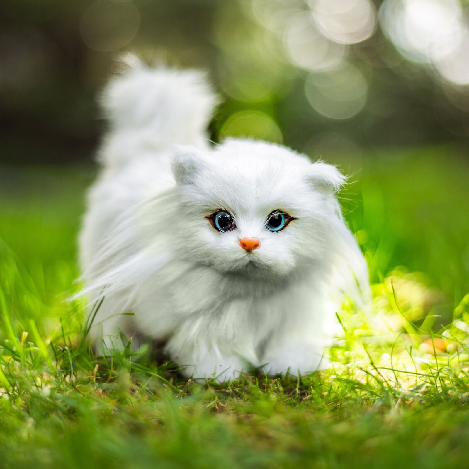 The Queen's Treasures 18 Inch Doll Pet Accessories, White Fluffy Fur Kitty Cat , Compatible for Play with American Girl Dolls The Queen's Treasures