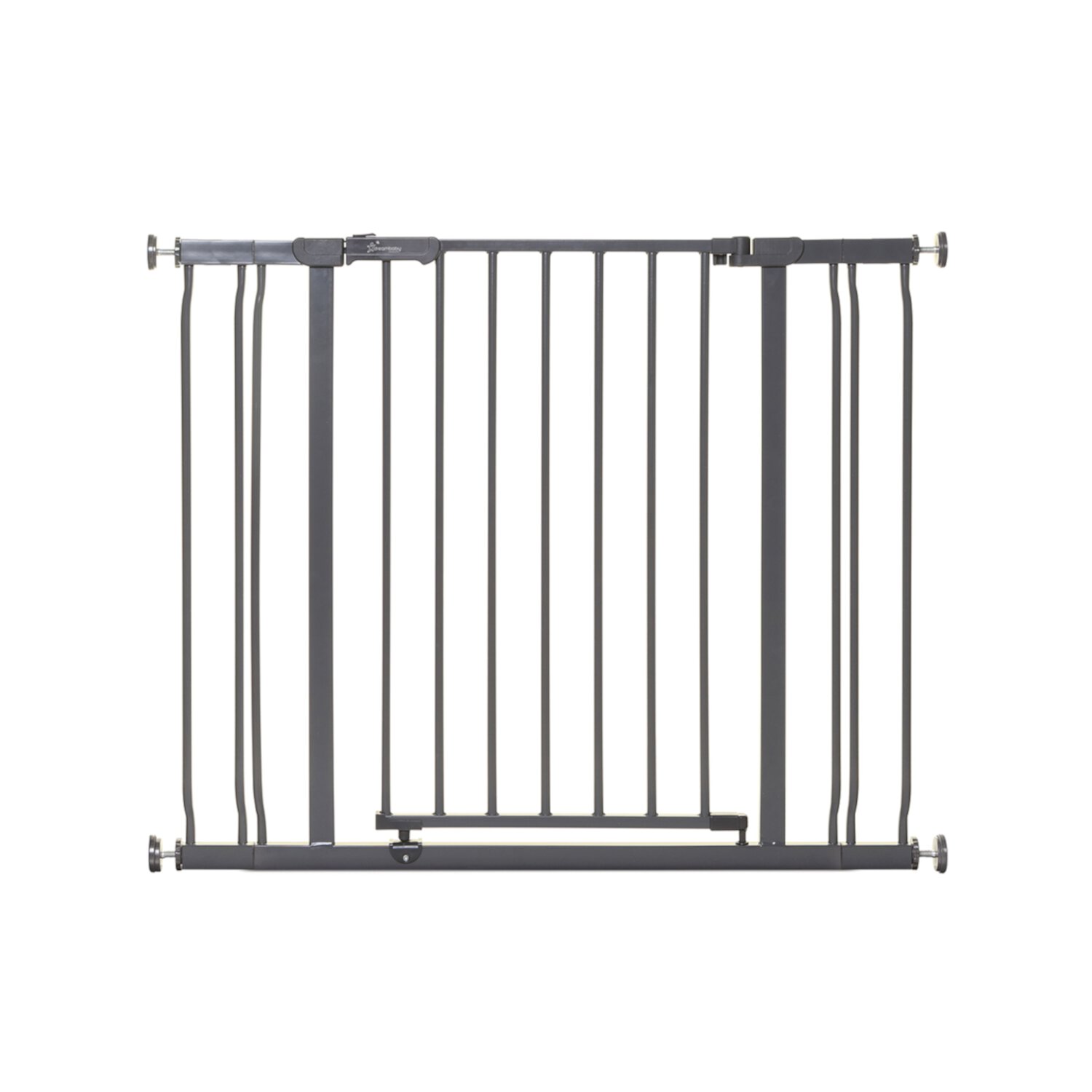 Dreambaby L2098BB Ava 29.5 to 39.5 Inch Baby & Pet Safety Gate, Gray Dreambaby