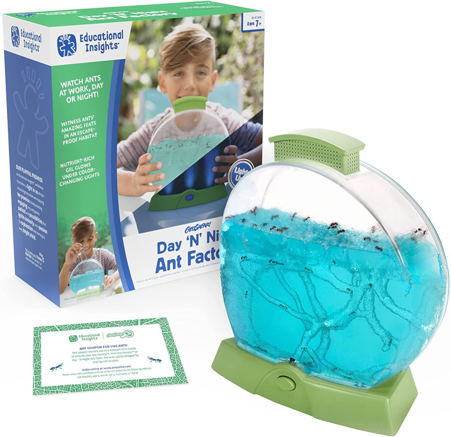 Educational Insights Day 'N' Night Ant Factory, Ant Farm Habitat with Magnifier & LED Lights, STEM & Science Kit, Educational Science Toy, Gift for Girls Boys Ages 7 8 9+ Educational Insights