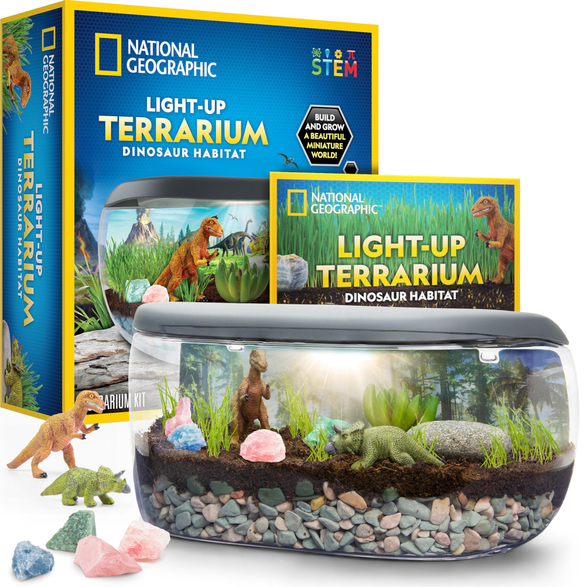 NATIONAL GEOGRAPHIC Light Up Dinosaur Terrarium Kit for Kids with Real Plants, Fossils & More, for Unisex Children (Age Group: 6 to 12 years) National Geographic