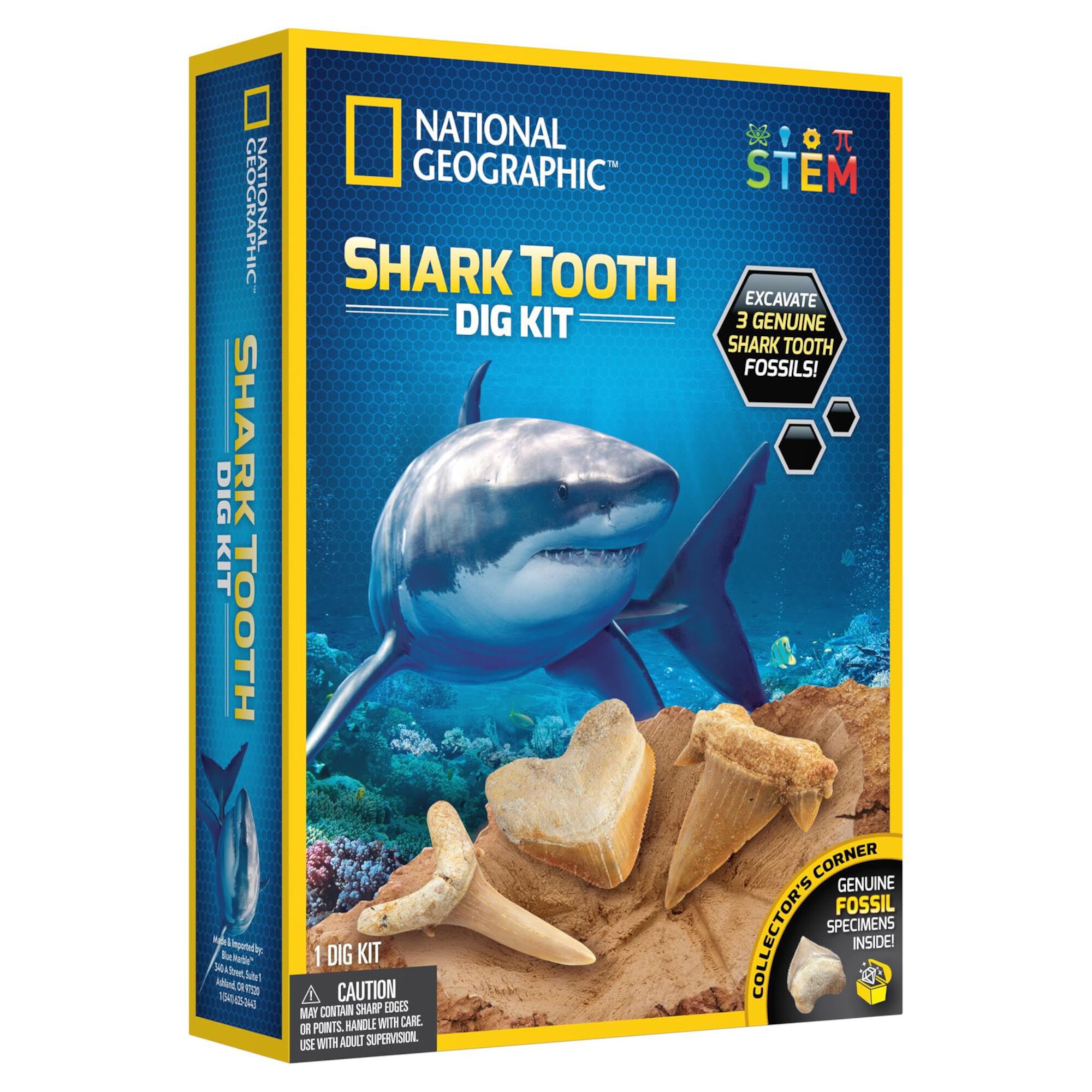 National Geographic Shark Tooth Dig Kit Science Set for Children 8 Years and up National Geographic