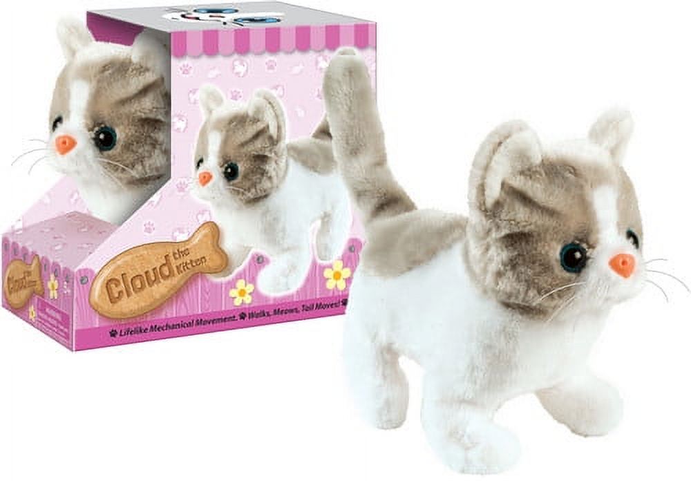 Cloud the Kitten: Paw Pals: We Walk, Wag Out Tails and Meow! Paw Pals