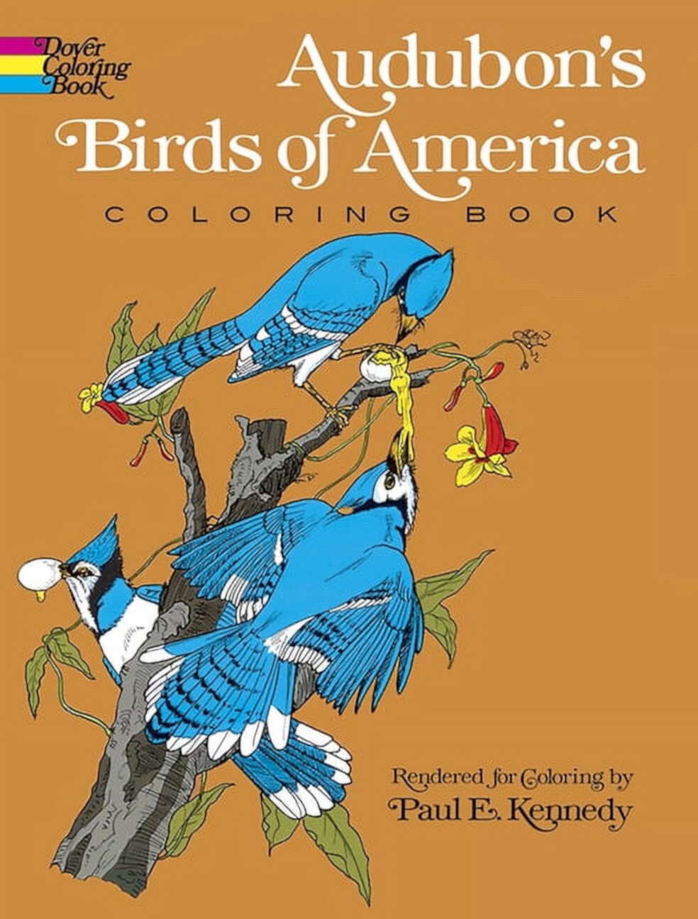 Dover Animal Coloring Books Audubon&apos;s Birds of America Coloring Book, (Paperback) Dover Farms