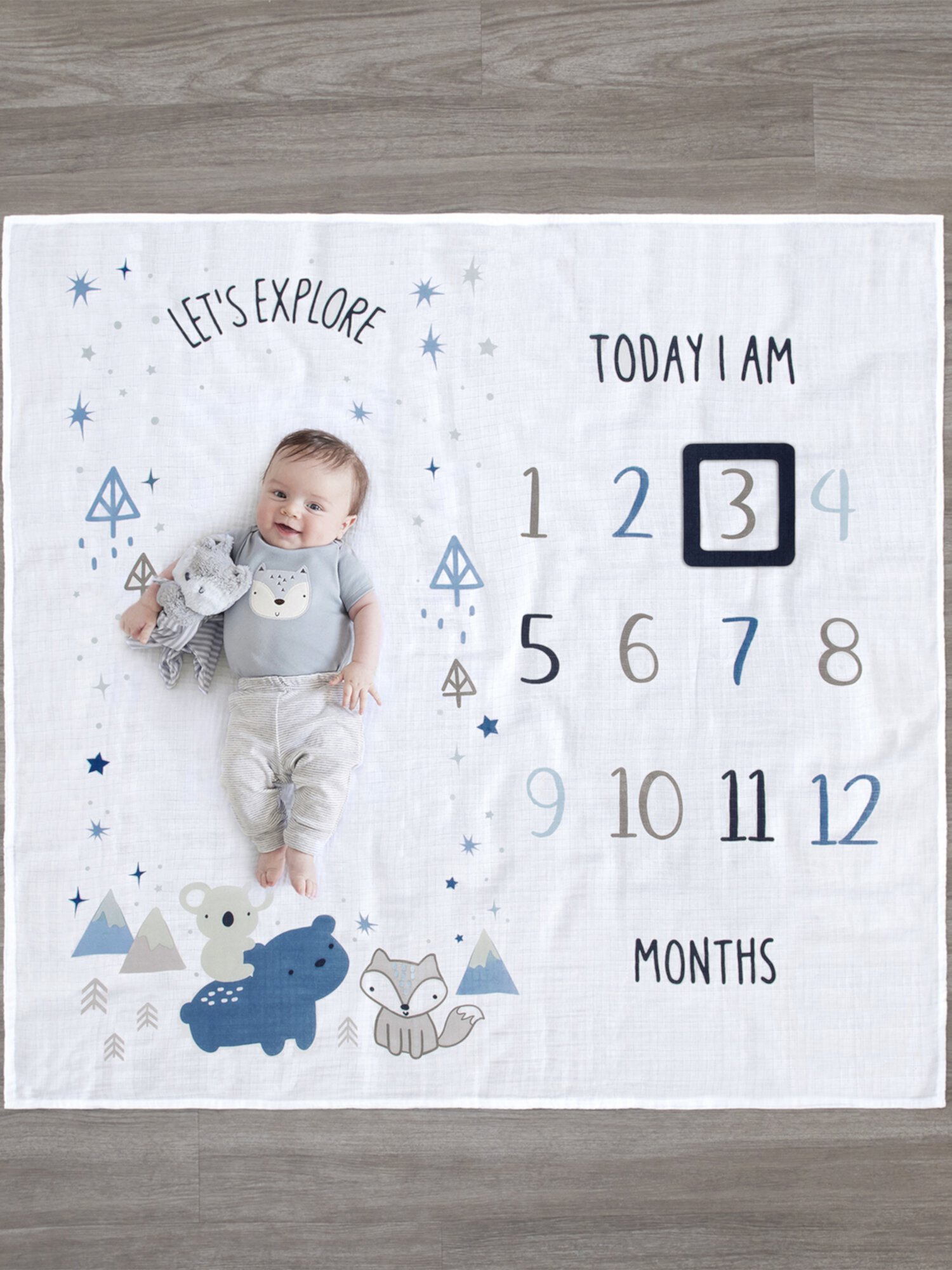 Gerber Baby Boy Milestone Blanket & Frame Set, 2-Piece Visit the Gerber Store