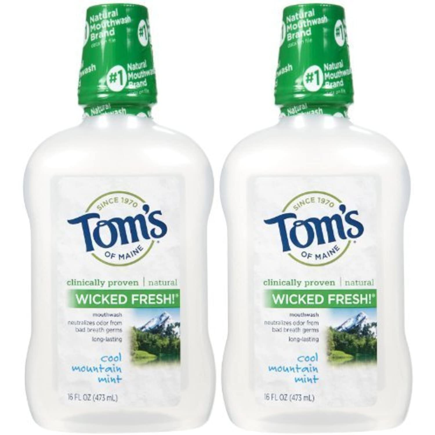 Tom's of Maine Long Lasting Wicked Fresh Mouthwash, Cool Mountain Mint - 16 oz - 2 pk by Tom's of Maine Tom's of Maine