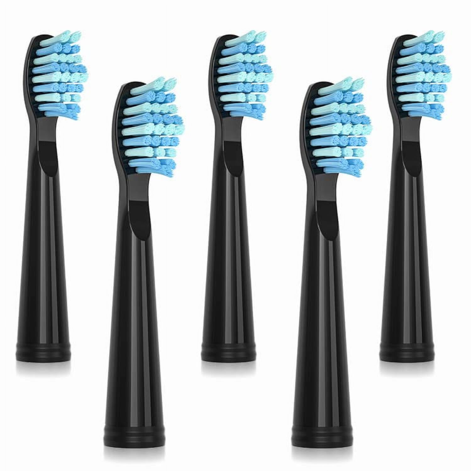 SEAGO SG-010 Electric Toothbrush Replacement Brush Heads Refill,2pcs, Suitable for SG507/SG551/SG910/SG958/SG575,Plaque Control,Gum Health,HealthyWhiteï¼ˆBlackï¼‰ SEAGO