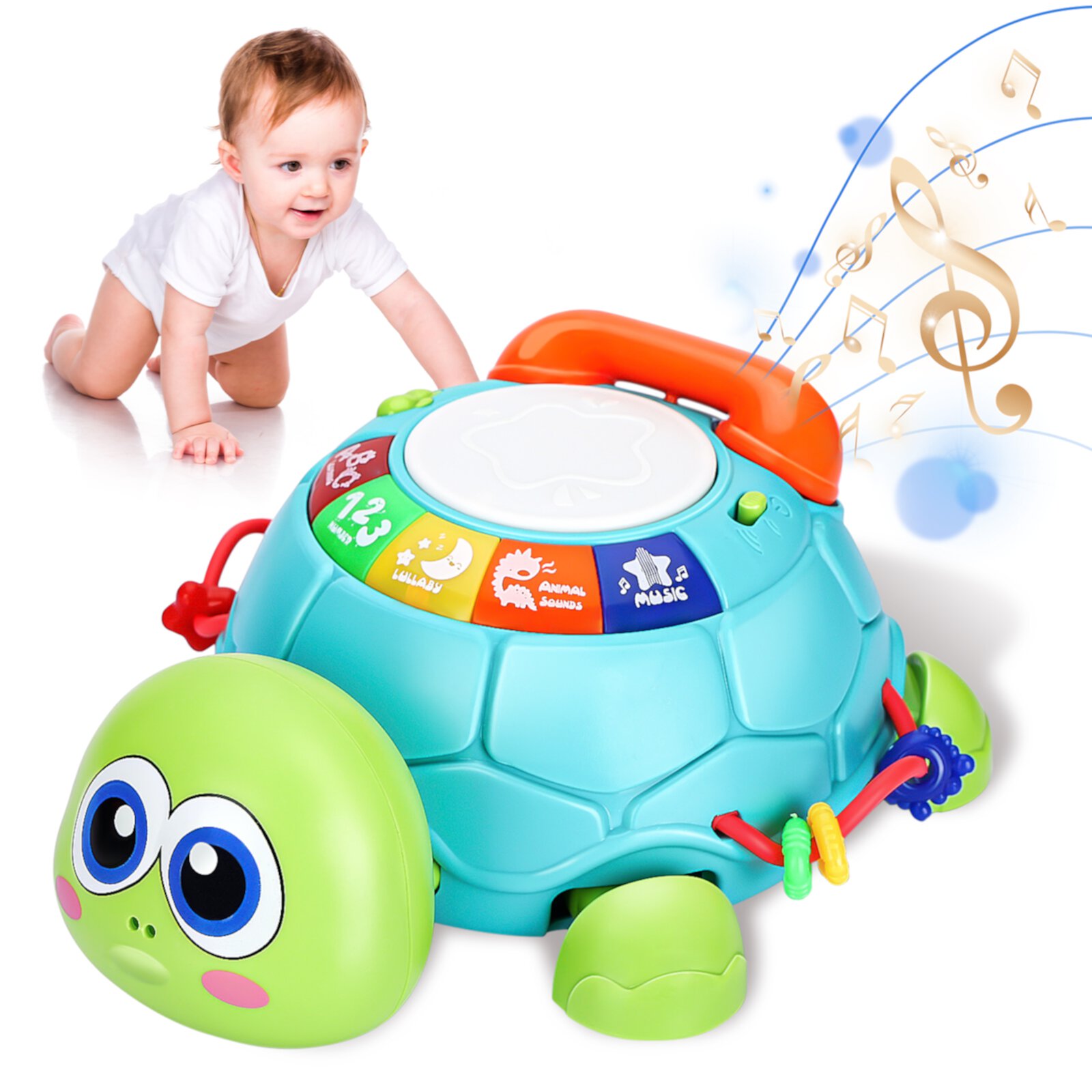 Ant Class Baby Learning Toys, Musical Turtle Crawling Toy, Crawling Toys for Babies 6-12 Months, Baby Turtle Toy Ant Class