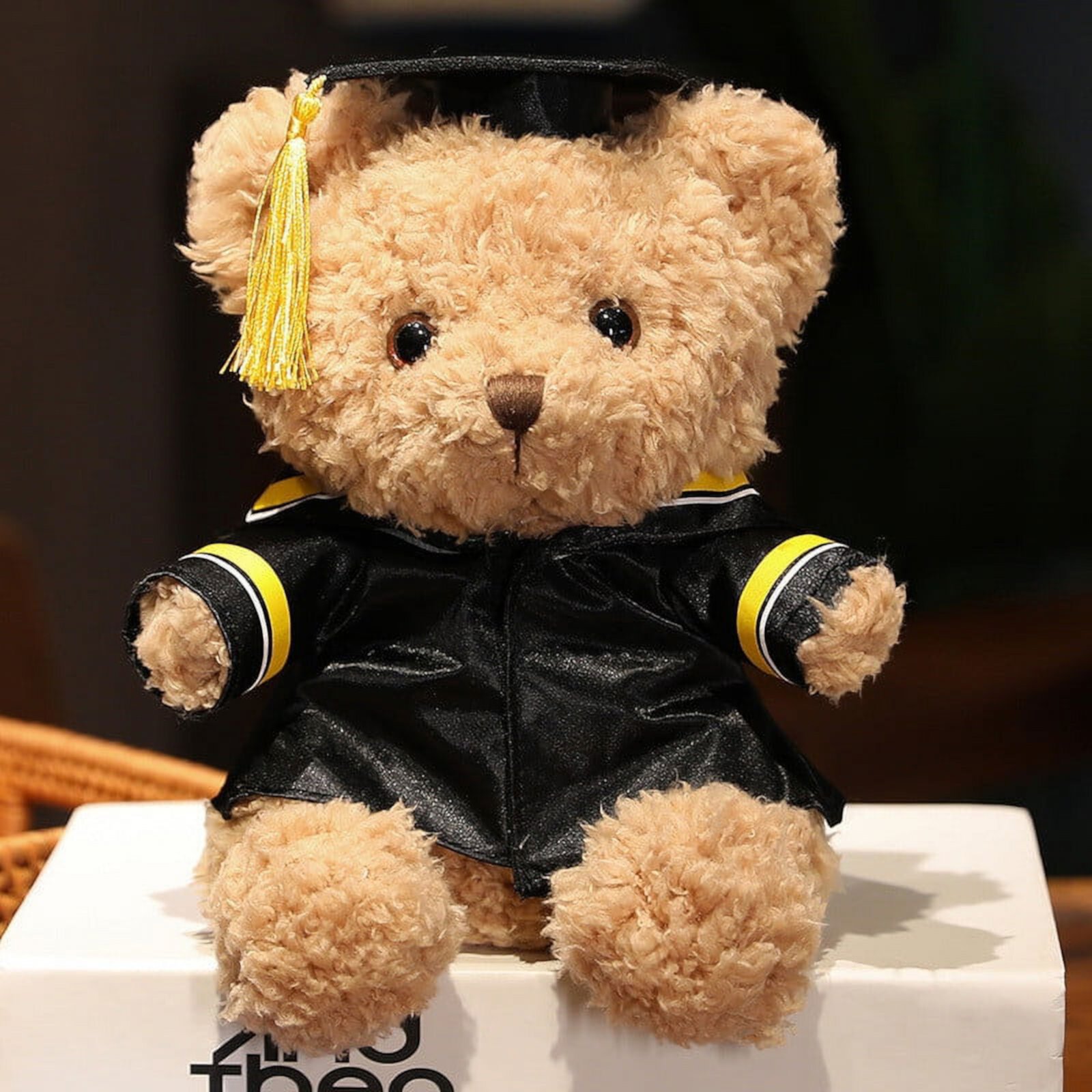 PATLOLAV 9 inchs In a Doctoral Gown Graduation Bear Class of Personalized Graduation Gifts , Graduation Teddy Bear for Kindergarten High School College Graduation Chirstmas Thanksgiving Gift PATLOLLAV