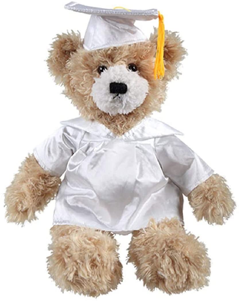 Made by Aliens Personalized Gift for Graduation Plush Stuffed Animal Class of 2024. (Beige Teddy Bear White Gown) 12 inch Made by aliens