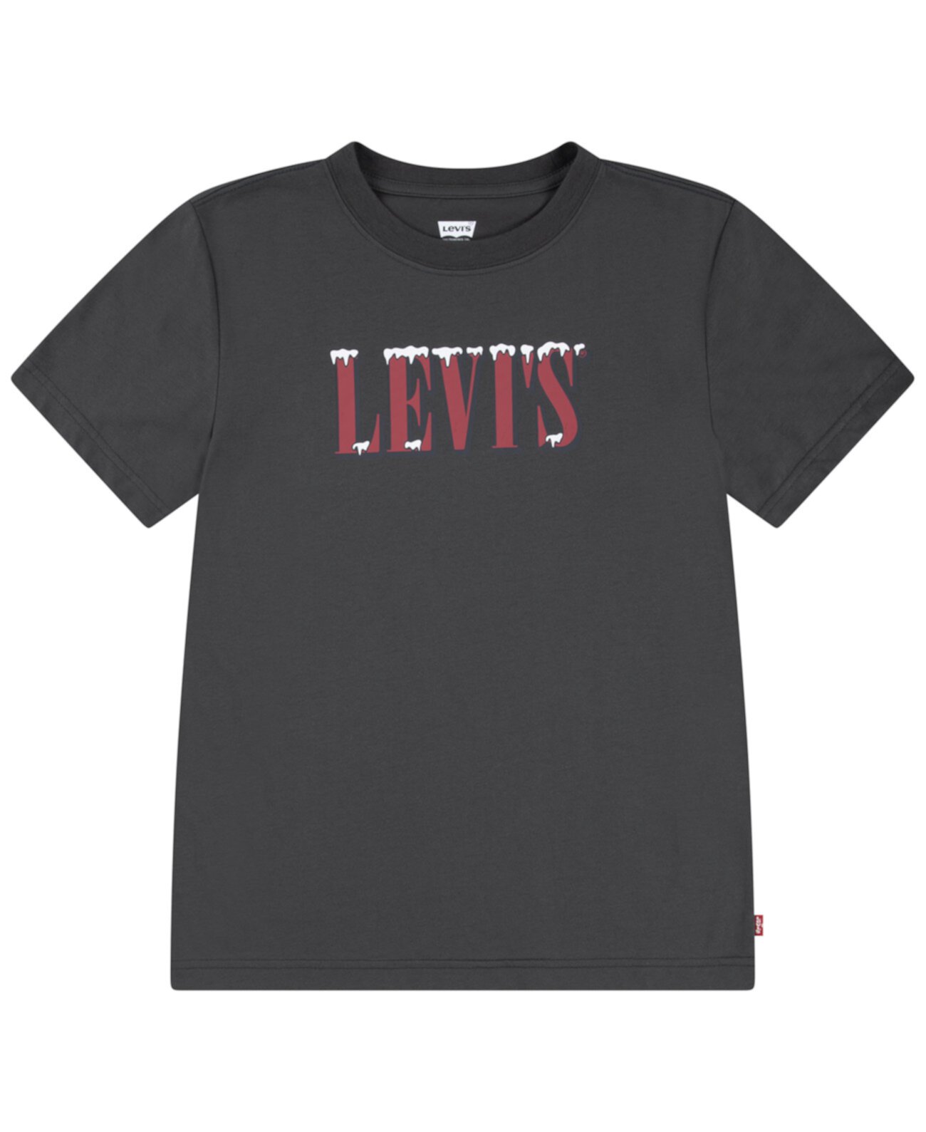 Детская Футболка Levi's® Big Boys Snowed in Tee Levi's®