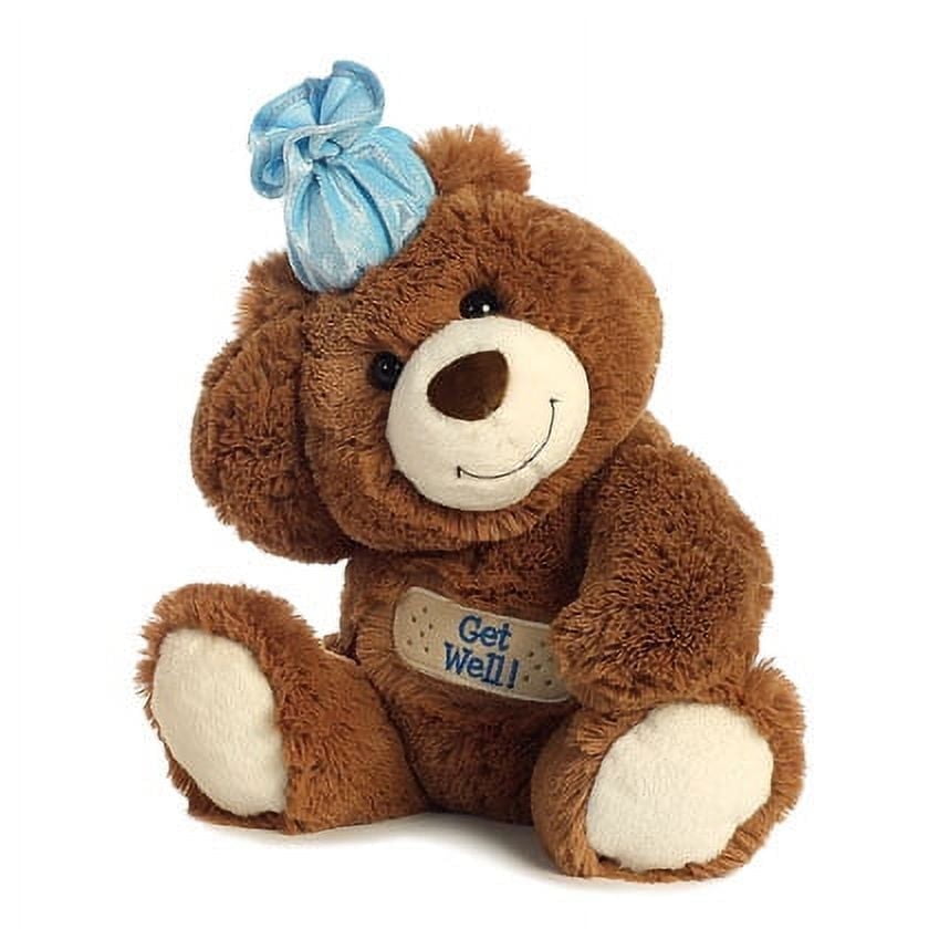 Aurora - Medium Brown Bear - 12" Get Well Bear - Snuggly Stuffed Animal Aurora