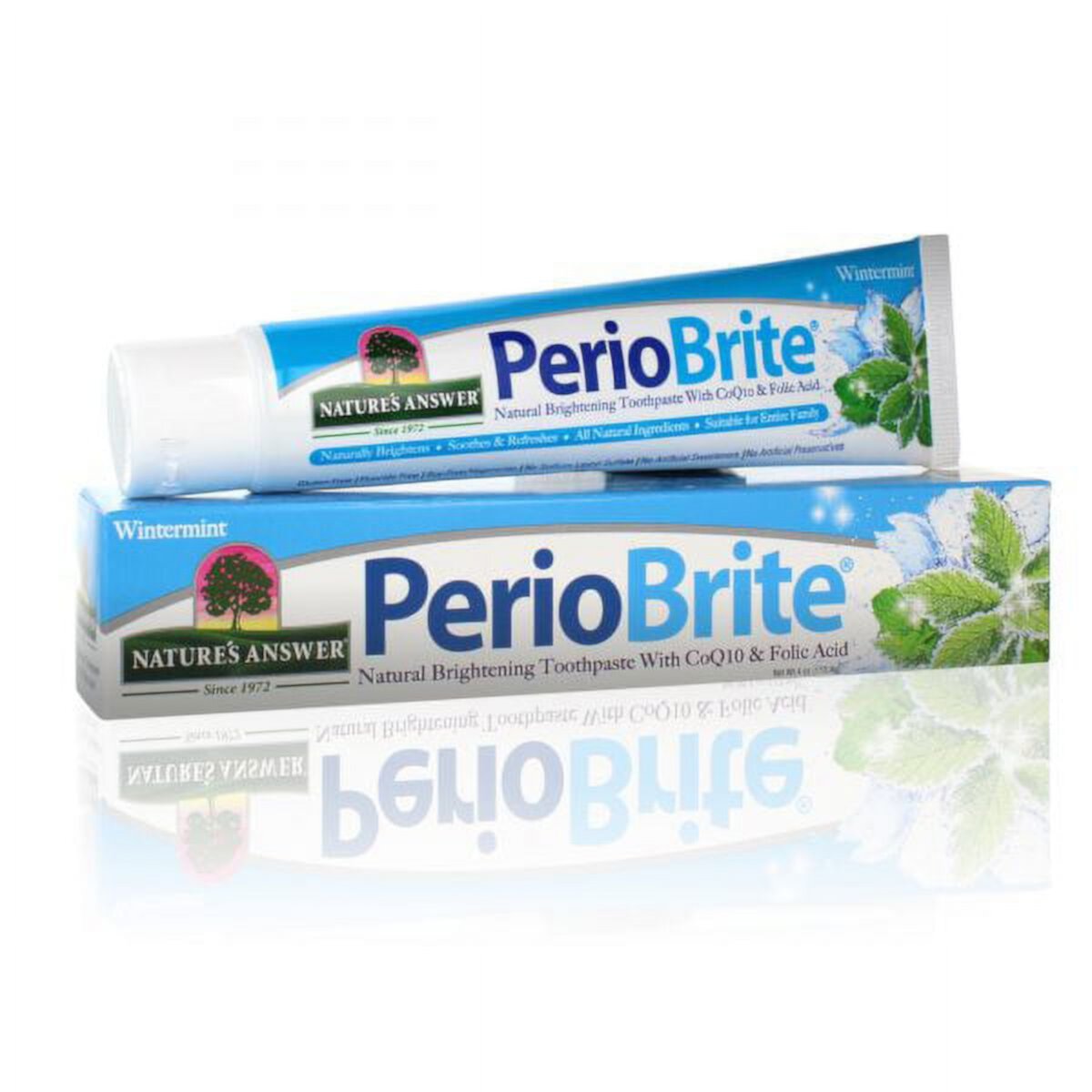 Periobrite Toothpaste Wintermint 4oz Nature's Answer