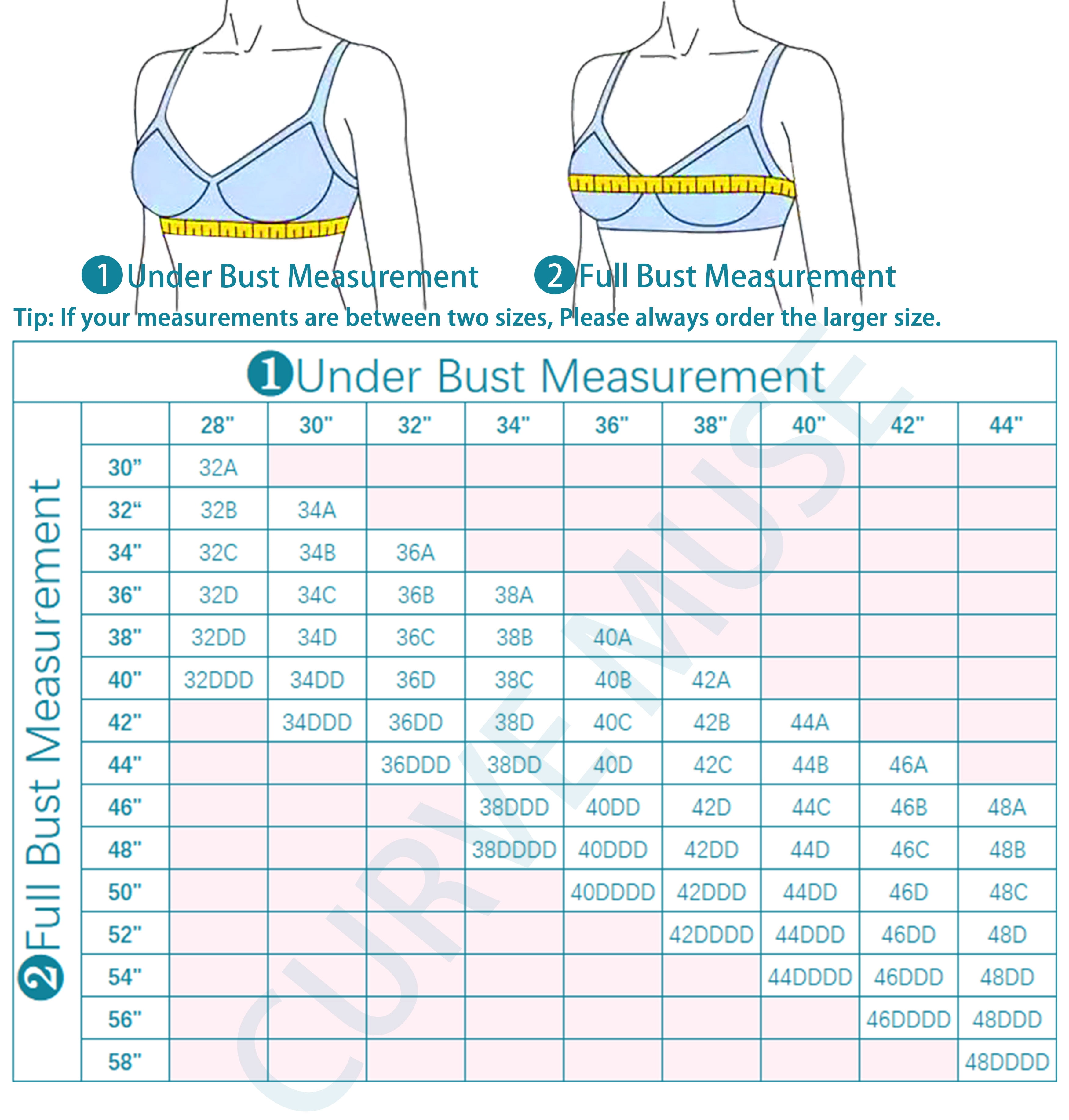 Curve Muse Plus Size Minimizer Underwire Bra With Lace Embroidery-2 Pack-BLUE HAZE,LT PINK-40C Curve Muse