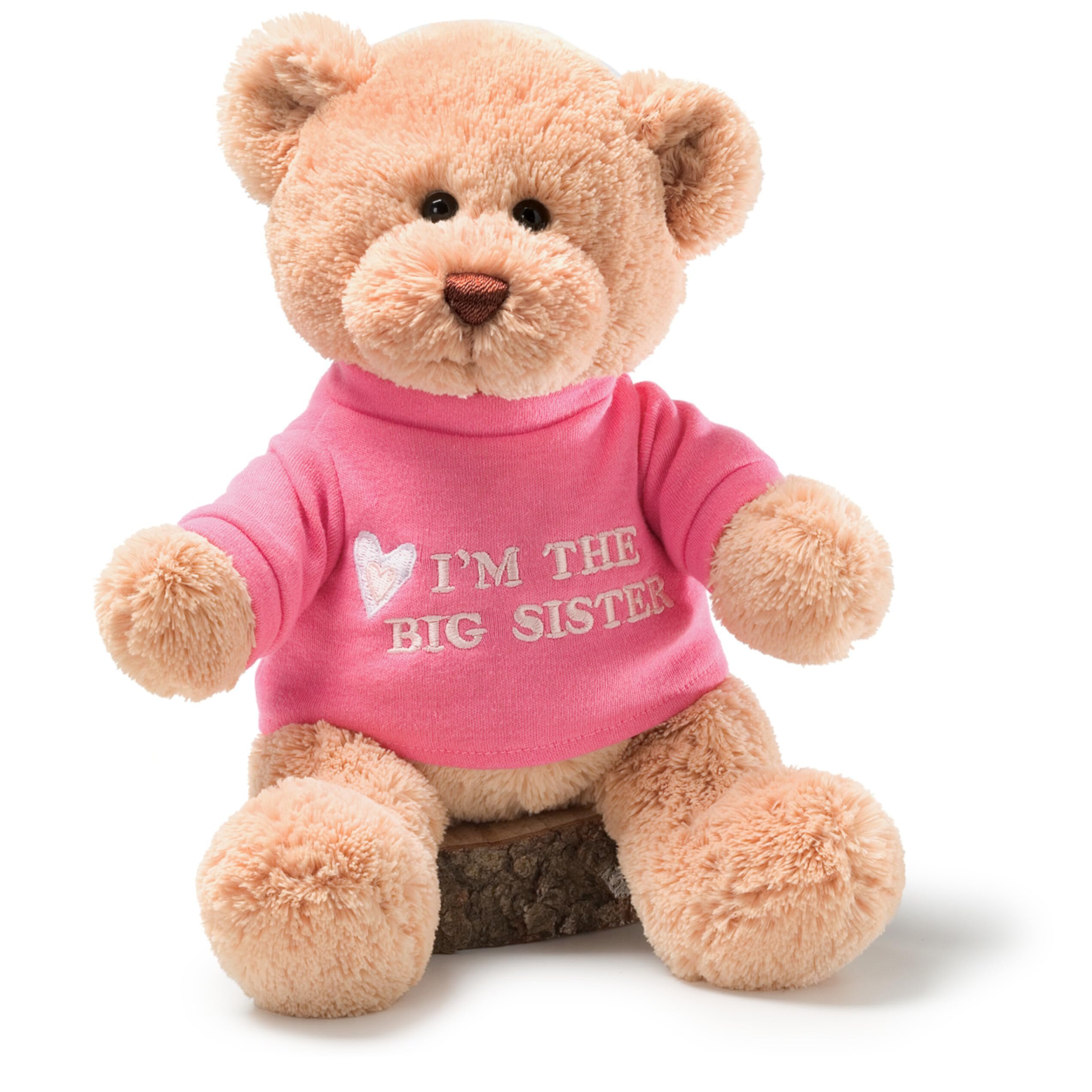 Baby Gift Idea G320154 Gund Im The Big Sister Teddy Bear GUND