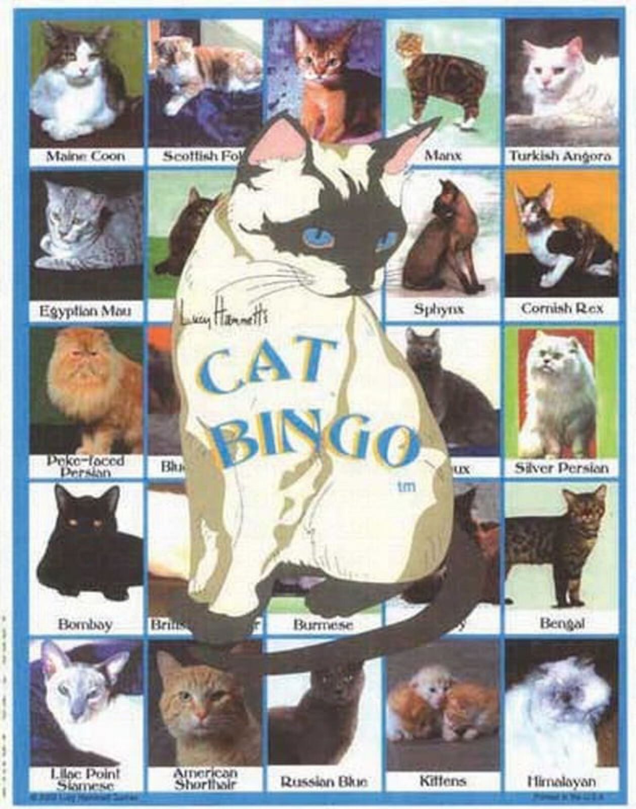 Lucy Hammett Cat Bingo Generic