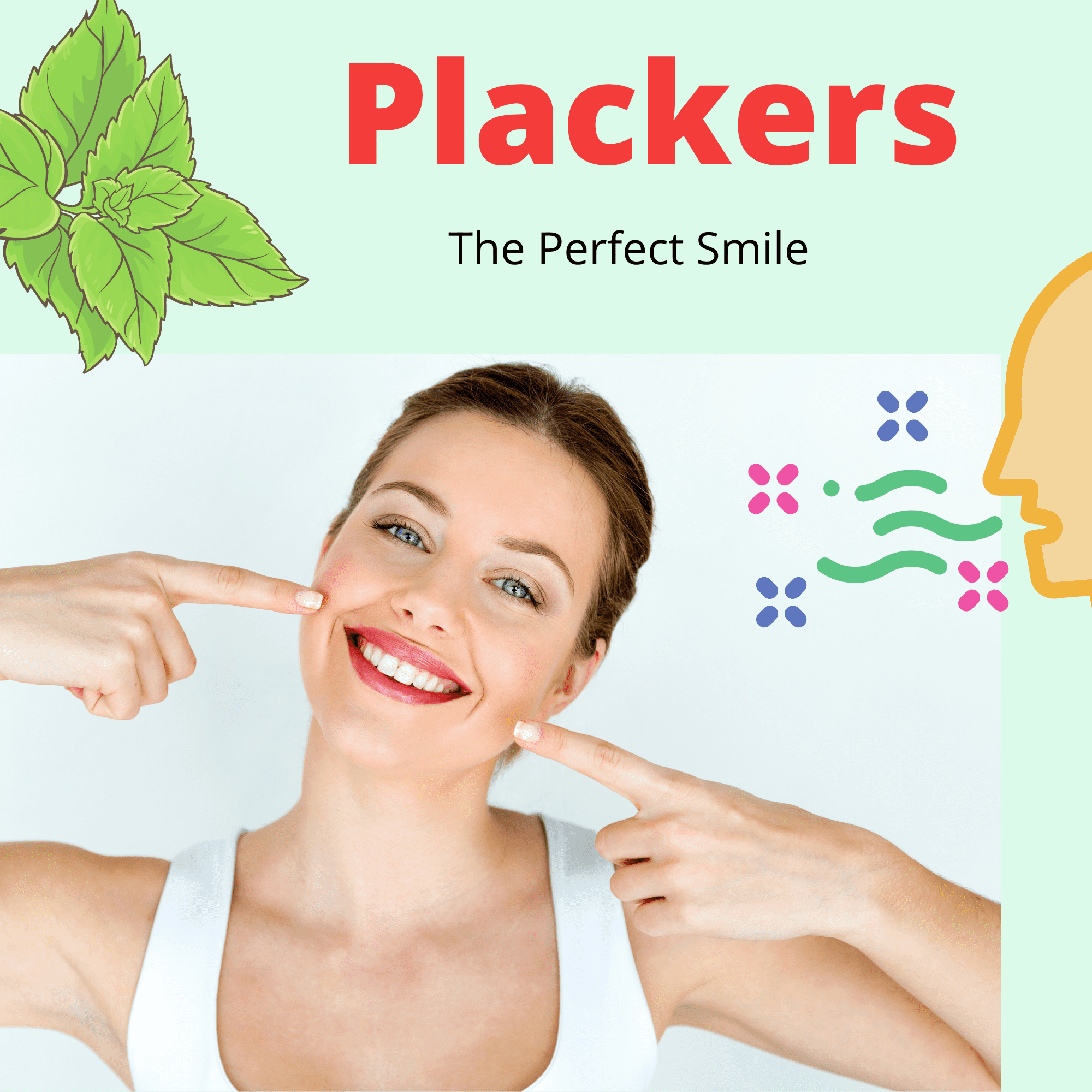 Plackers Micro Mint Mint Dental Floss Picks with Travel Case, 12 Count (3-Pack) Plackers