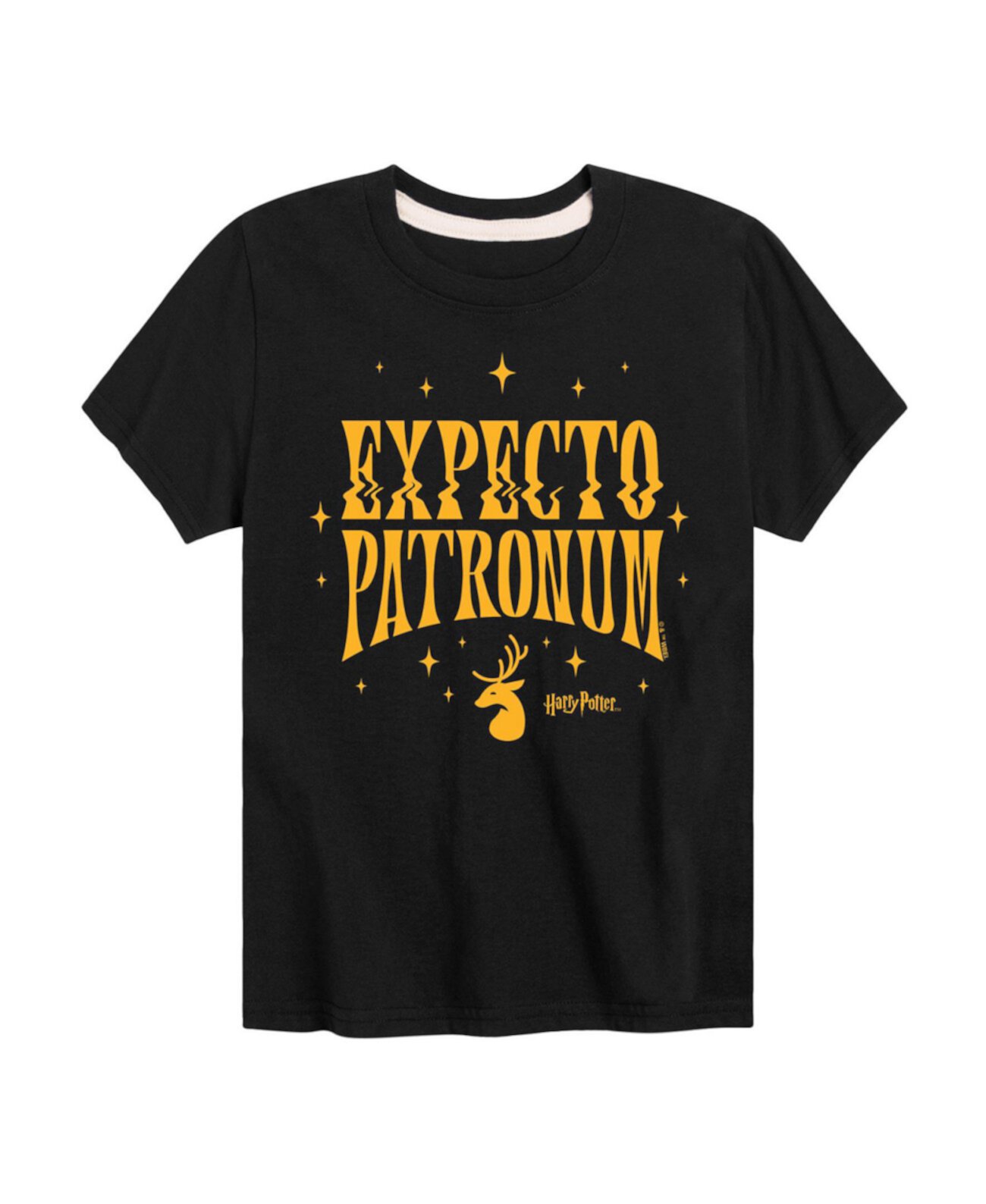 Детская Футболка Hybrid Expecto Patronum Hybrid