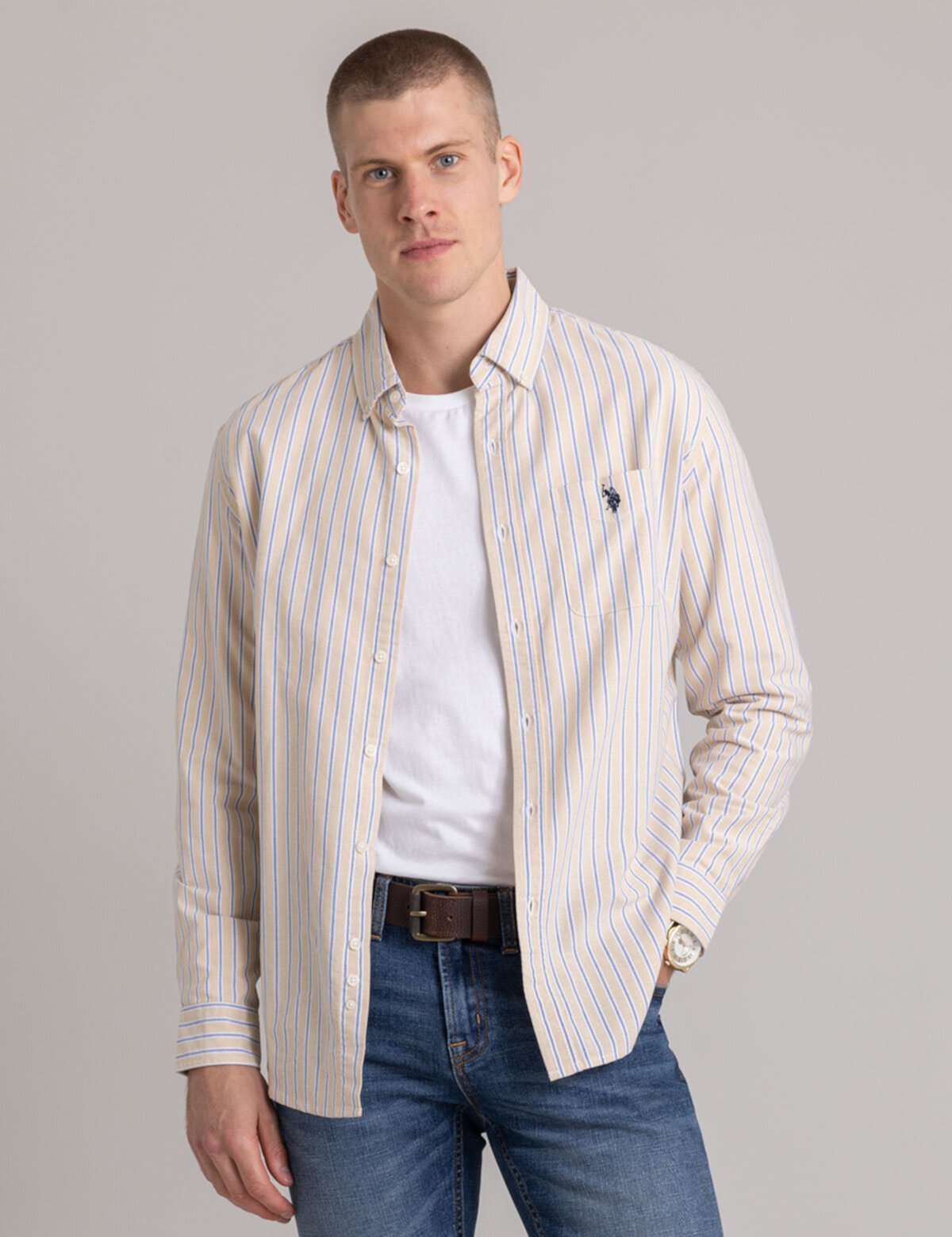 Мужская Повседневная рубашка U.S. POLO ASSN. Vertical Stripe Yarn Dye Oxford Shirt U.S. POLO ASSN.