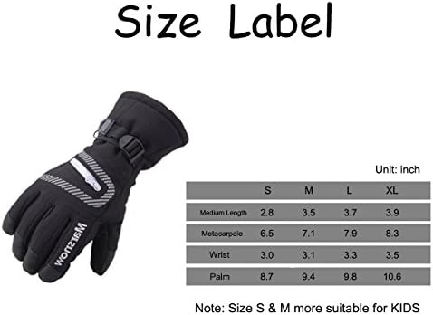 PHIBEE Unisex Waterproof Windproof Winter Warm Snowboard Ski Gloves for Men and Women PHIBEE