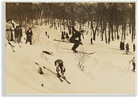 Декоративная настенная панель Vintage Ski Slopes 15 х 10 дюймов, тональный цвет, МДФ Stupell Industries