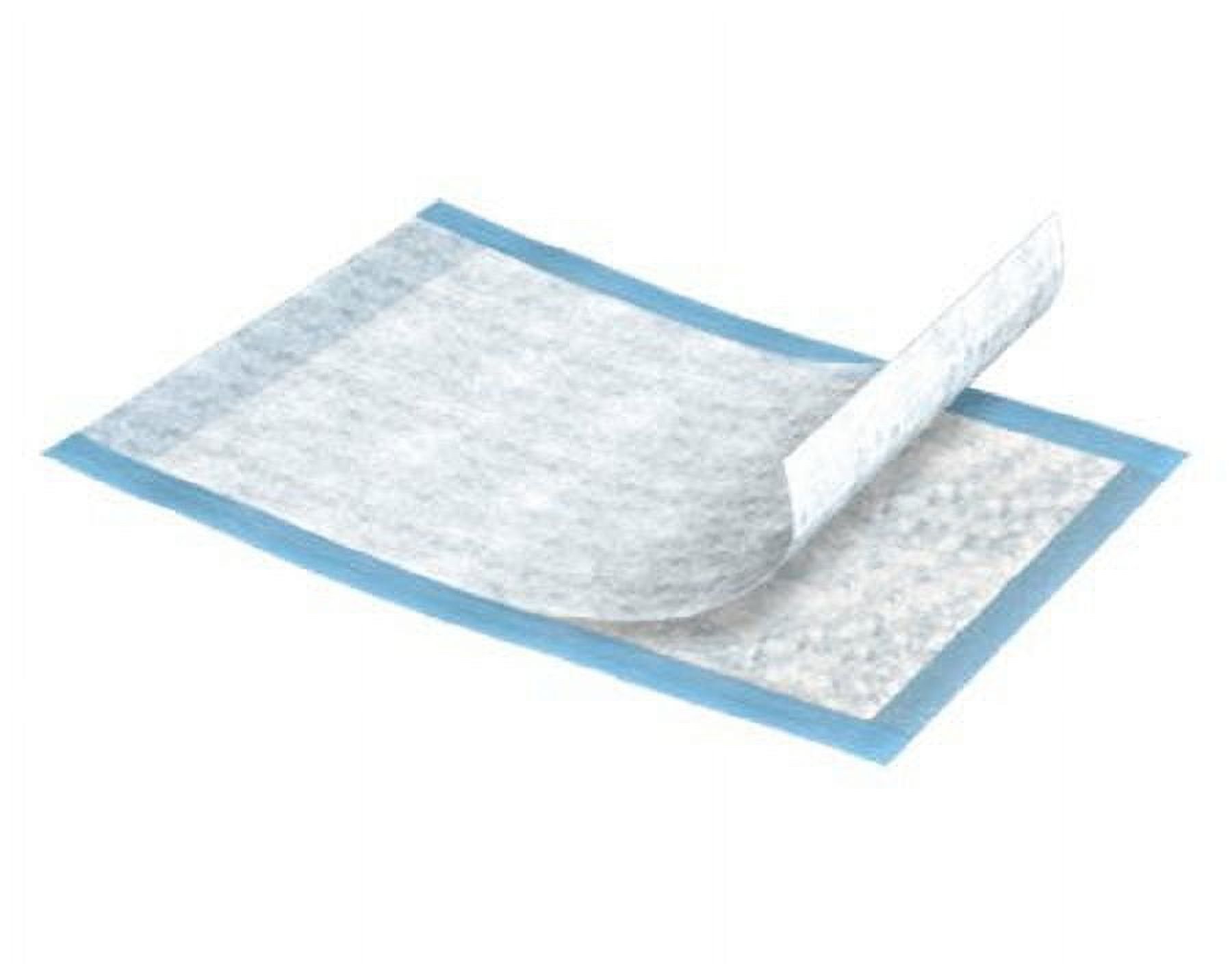 Essity HMS North America Inc Underpad TENA Extra Bariatric 36 X 36 Inch Disposable Polymer Light Absorbency Bag of 10 Essity