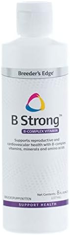 B Strong - Жидкий витаминный комплекс B для собак для поддержки здоровья репродуктивной системы Revival Animal Health